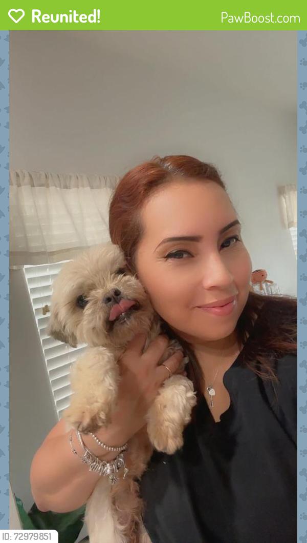 Reunited Male Dog last seen RockSlide Cir & Camel, Las Vegas, NV 89115