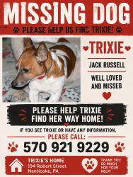 Reunited Female Dog last seen Robert Street , Nanticoke, PA 18634