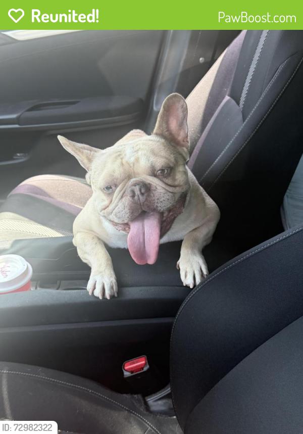 Reunited Male Dog last seen Parkside and Keen, San Diego, CA 92139
