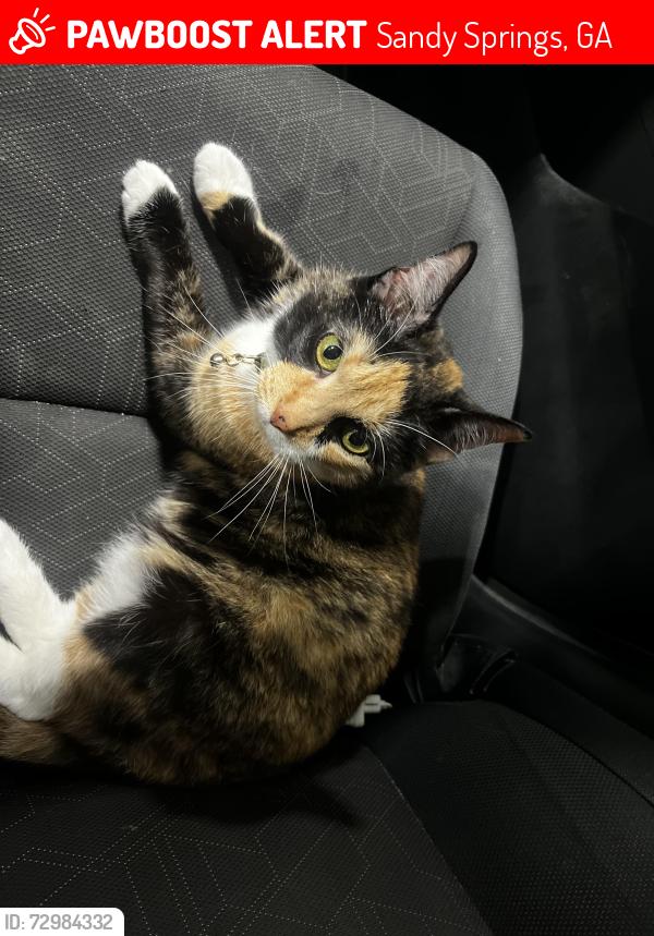 Lost Female Cat last seen East palisades trail head, Sandy Springs, GA 30339
