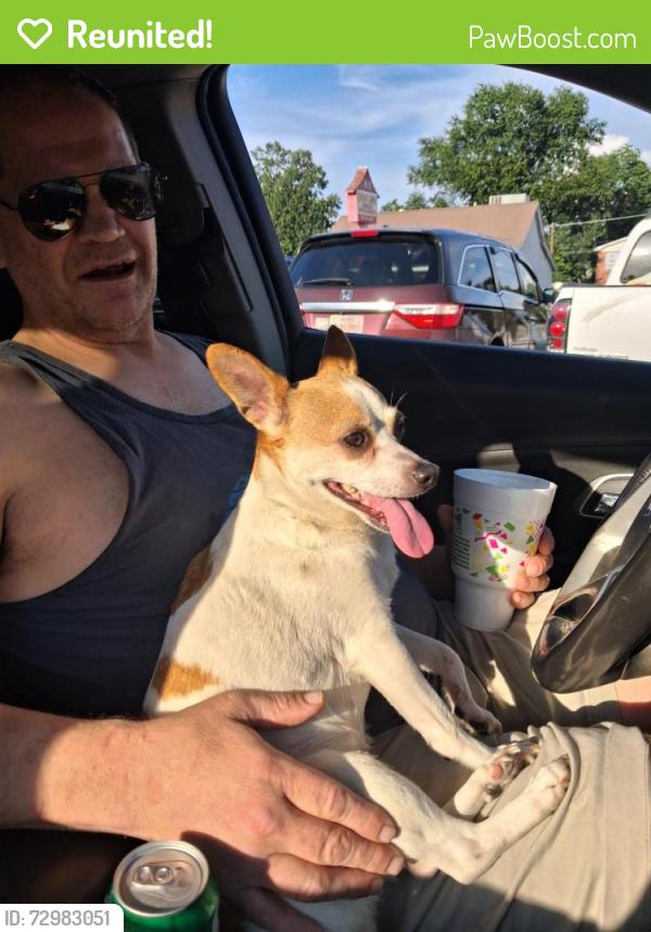 Reunited Female Dog last seen N Greenwood ave., Fort Smith, AR 72901
