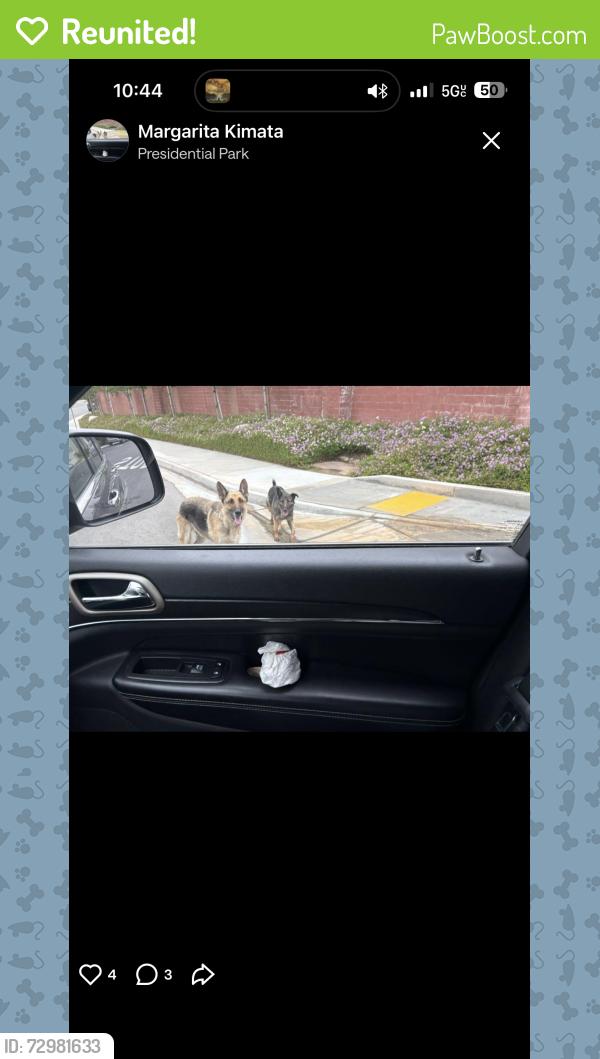 Reunited Male Dog last seen Via Vista Dr & Alessandro Blvd, Riverside, CA 92506, USA, Riverside, CA 92506