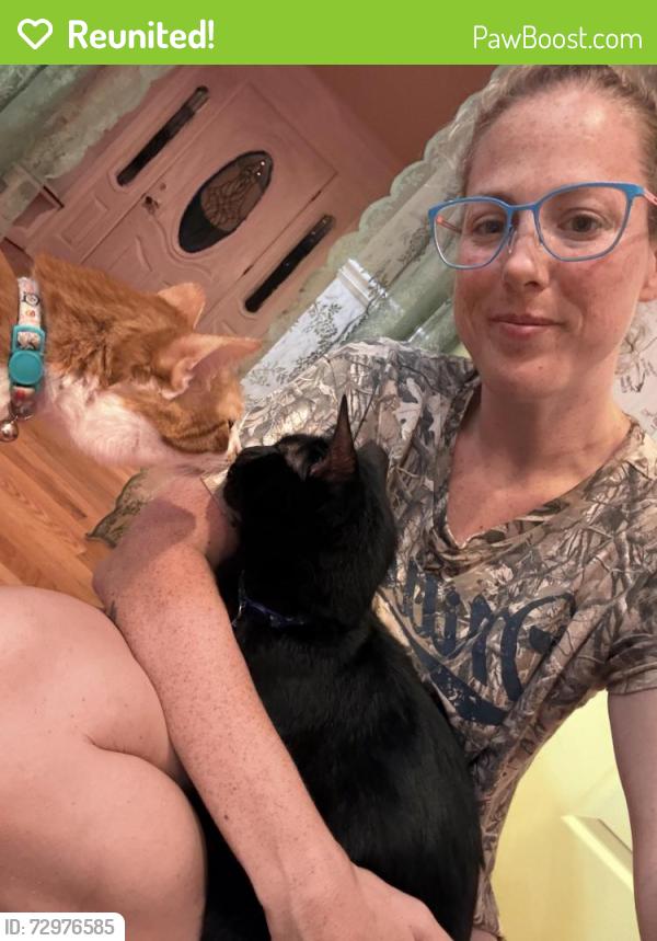 Reunited Male Cat last seen Walmart Market place on Houston Rd, Warner Robins, GA 31093