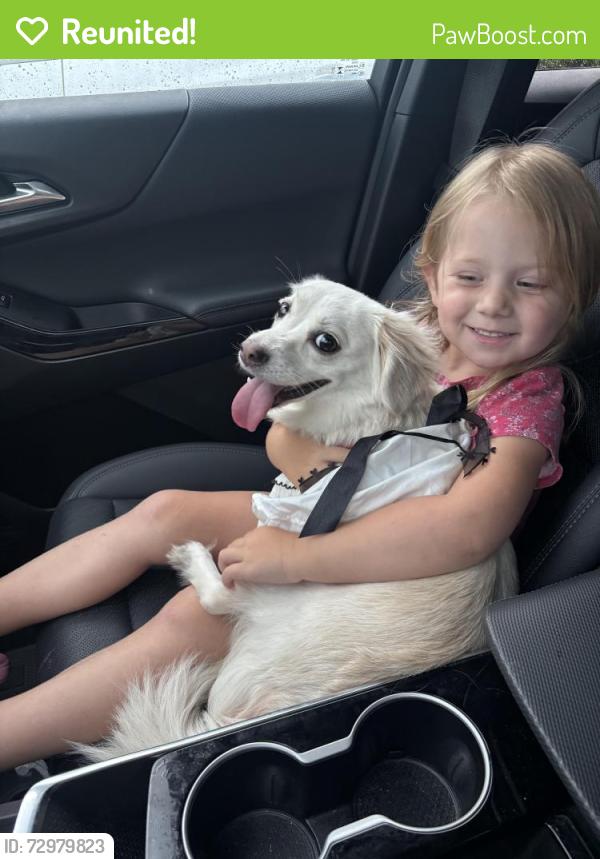 Reunited Unknown Dog last seen Shroyer near stroop, Kettering, OH 45429