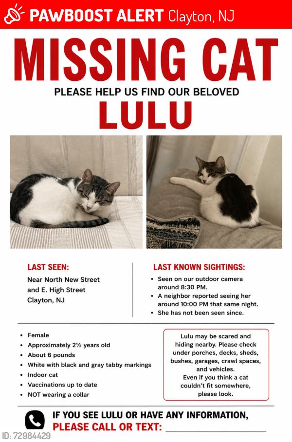 Lost Female Cat last seen Ran outside the hse on 6/5/26 at night 8:30pm last time seen by a neighbor next morning around 10am, Clayton, NJ 08312