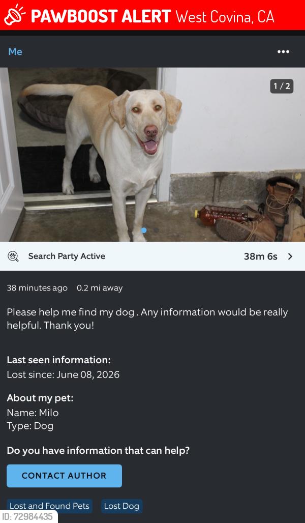 Lost Male Dog last seen thelborn and home rest , West Covina, CA 91791