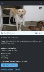 Lost Male Dog last seen thelborn and home rest , West Covina, CA 91791