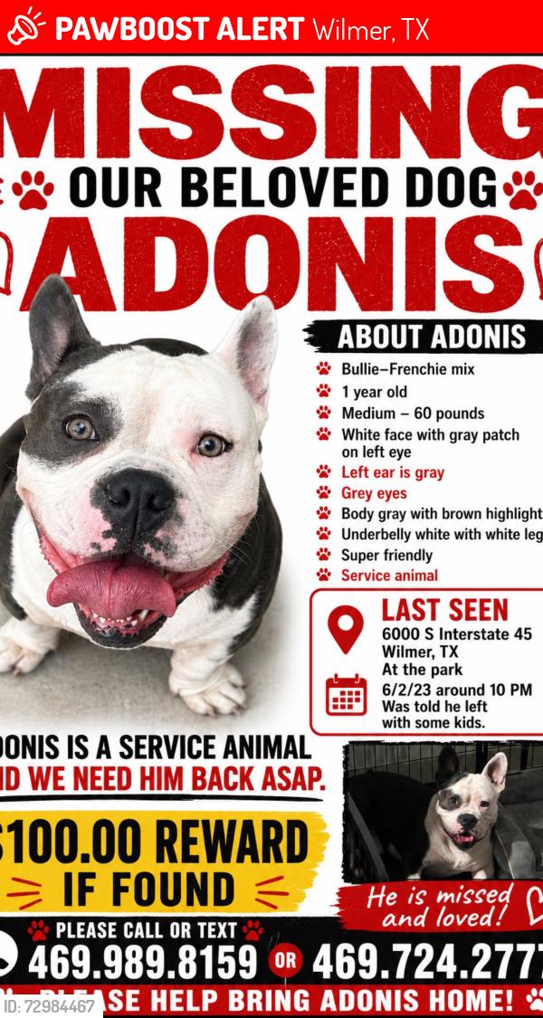 Lost Male Dog last seen Liberty at marketplace apmts. Was told he was seen getting out in someone’s car on 6/5/26 at the s station off beltline and I-45 south, Wilmer, TX 75172