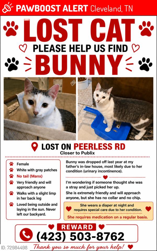 Lost Female Cat last seen Peerless Rd NW closer to Publix , Cleveland, TN 37312
