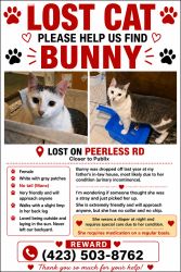 Lost Female Cat last seen Peerless Rd NW closer to Publix , Cleveland, TN 37312