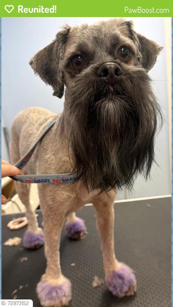 Reunited Female Dog last seen Near Hart Ave, West Sacramento, CA 95691, USA, West Sacramento, CA 95691