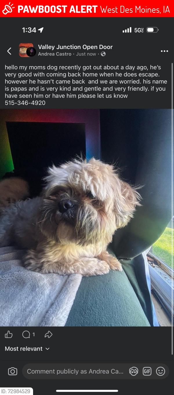 Lost Male Dog last seen south side airport, West Des Moines, IA 50265