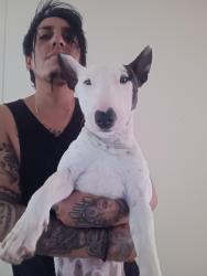 Reunited Male Dog last seen North loop, yarbrough , El Paso, TX 79907