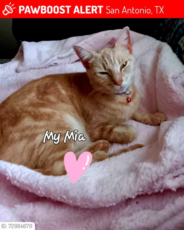Lost Female Cat last seen Fresno by Edison high school, San Antonio, TX 78212