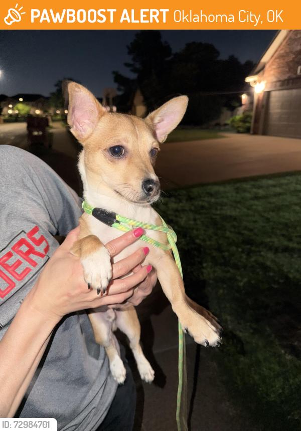 Found/Stray Male Dog last seen Off Wineview Drive, Oklahoma City, OK 73170