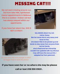 Lost Female Cat last seen 148th ave se & lakehill , Bellevue, WA 98007
