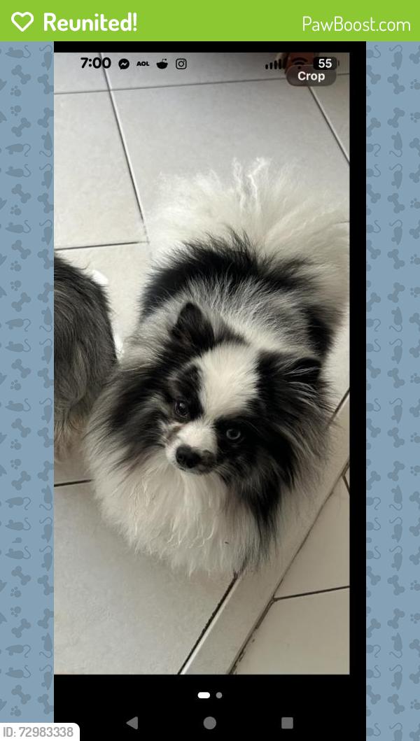 Reunited Unknown Dog last seen Harbor Village, Pompano Beach, FL 33062, USA, Pompano Beach, FL 33062