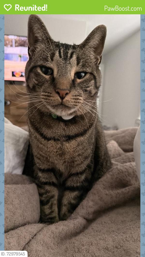 Reunited Male Cat last seen Last known area on AirTag, outside o’Neal village , Greer, SC 29651