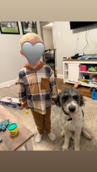 Lost Male Dog last seen Glenway & Guerley, Cincinnati, OH 45238