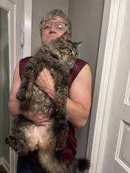 Reunited Male Cat last seen Hermina, Union, Marquette, Bike Path East Madison, Madison, WI 53704