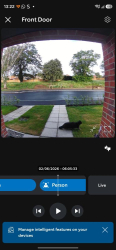 Lost Female Cat last seen Grenville road doncaster , Balby, England DN4 9FB