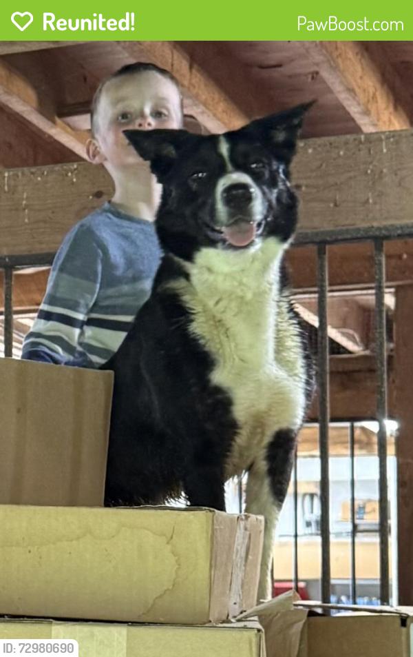 Reunited Female Dog last seen Collamer rd , Oxford, PA 19363