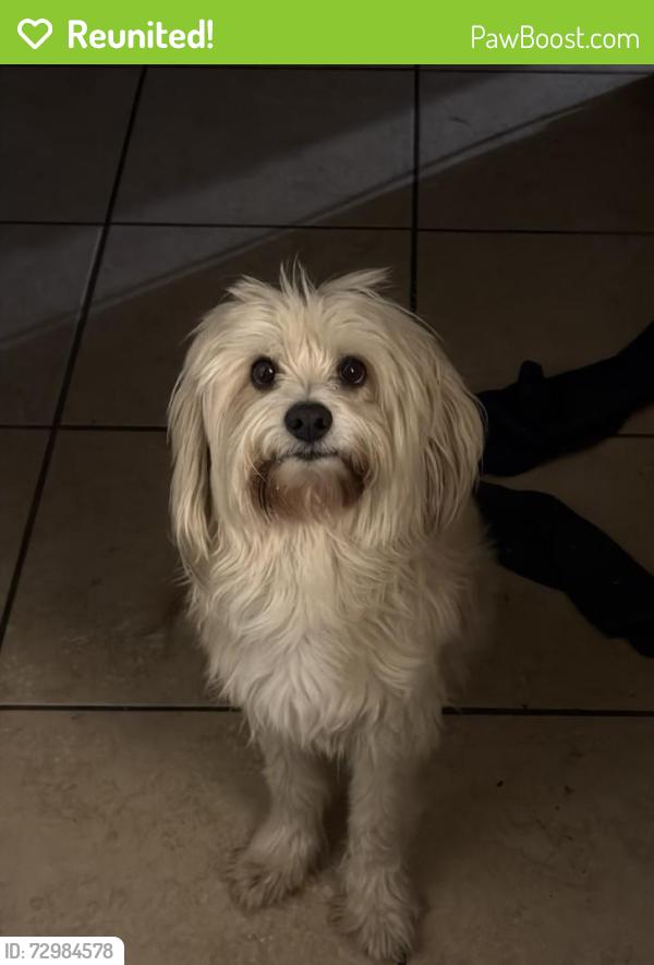 Reunited Male Dog last seen Eastridge , Amarillo, TX 79107