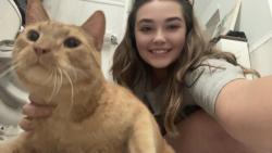 Reunited Male Cat last seen Little red academy daycare , Aurora, IN 47001