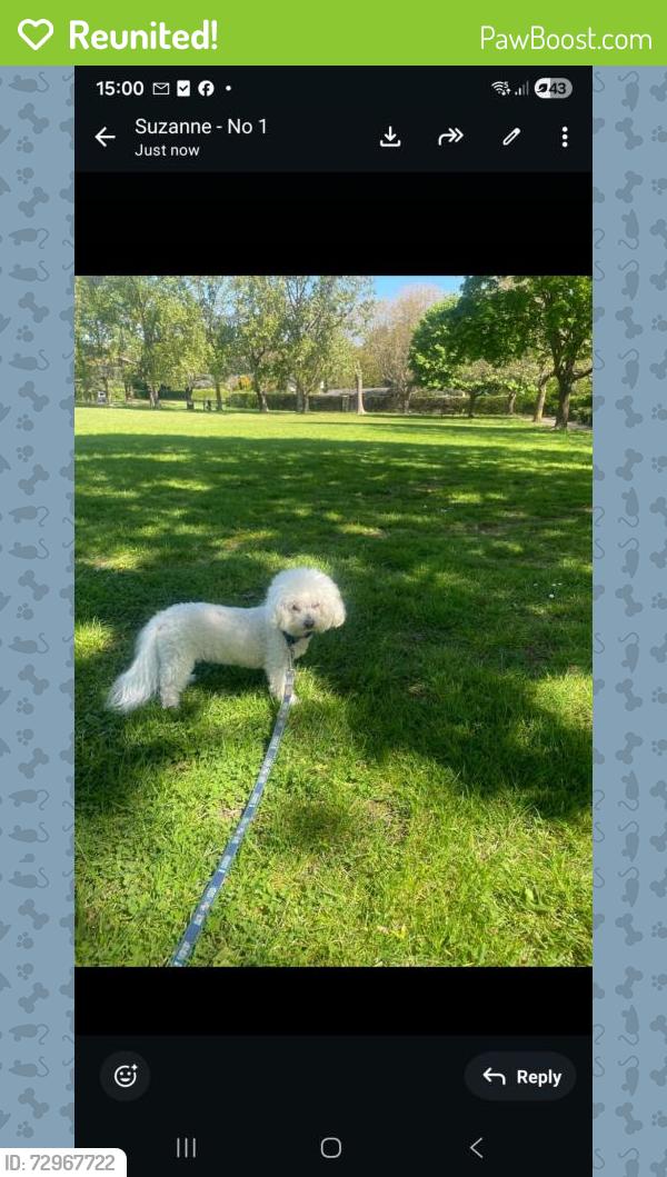 Reunited Male Dog last seen 1Hewittclose  stanmore, Greater London, England HA7 3BW