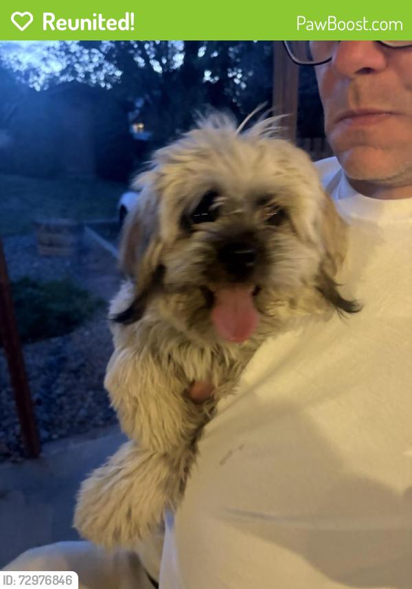 Reunited Male Dog last seen 16th Ave, Yakima, WA 98902