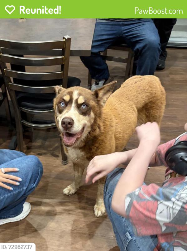 Reunited Unknown Dog last seen NW 122nd and Penn, Oklahoma City, OK 73162