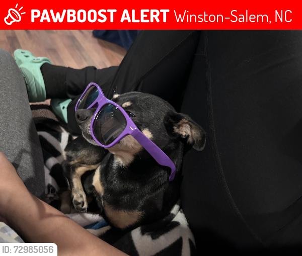 Lost Male Dog last seen Peaceheaven, Winston-Salem, NC 27103