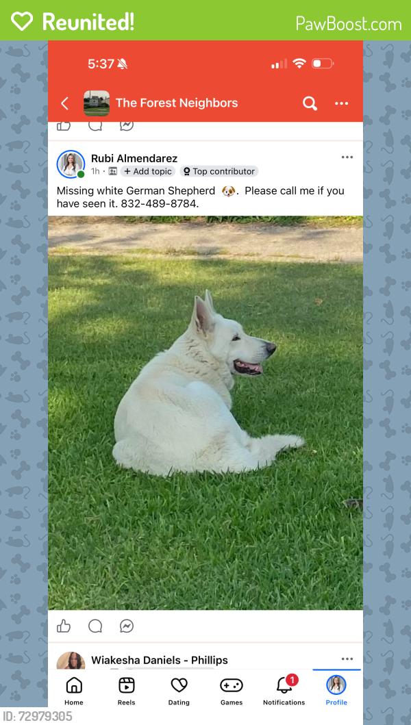 Reunited Male Dog last seen Woodland Hills, Humble, TX 77346