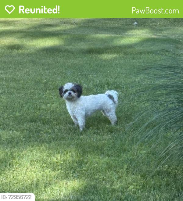 Reunited Unknown Dog last seen Fairplain , Fair Plain, MI 49022