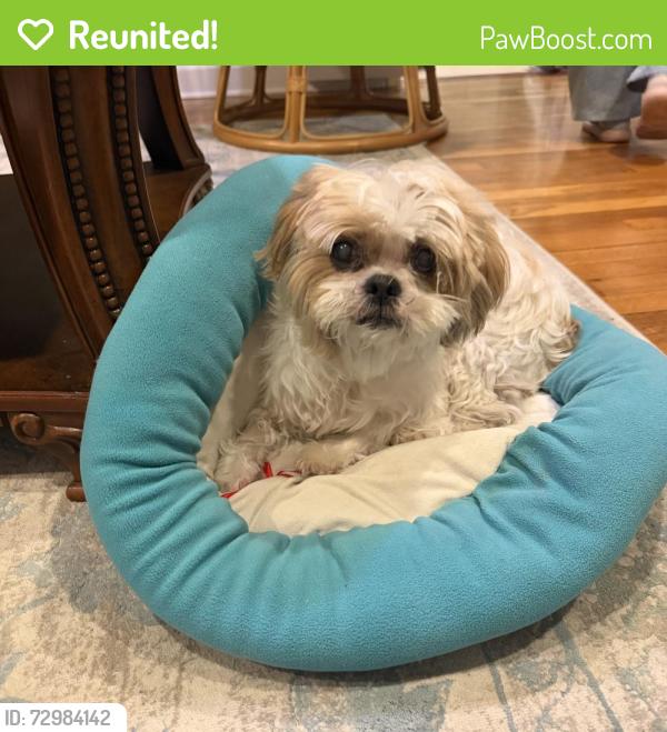 Reunited Male Dog last seen Schuyler St and Mitc Rd, Parsippany-Troy Hills, NJ 07054