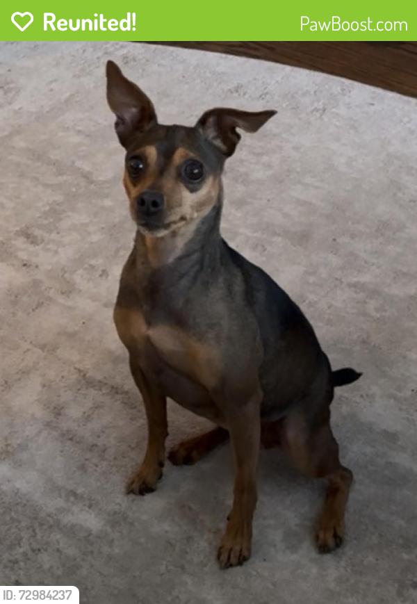 Reunited Female Dog last seen Muir Woods National Monument , Mill Valley, CA 94941