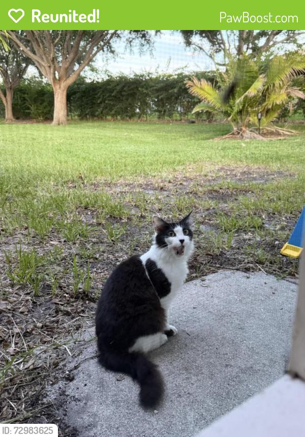 Reunited Unknown Cat last seen South 13th square, Waterford Lakes, Vero Beach, FL 32960