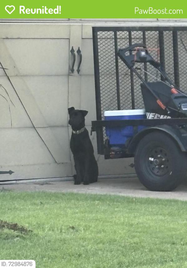 Reunited Unknown Dog last seen 33rd and Kelly , Edmond, OK 73013