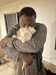 Reunited Male Dog last seen Baseline & Eucalyptus, Rialto, CA 92376