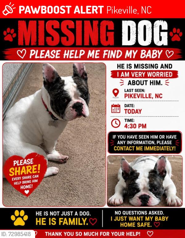 Lost Male Dog last seen Patetown Road & Big Daddy’s Road , Pikeville, NC 27863