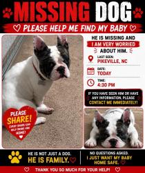 Lost Male Dog last seen Patetown Road & Big Daddy’s Road , Pikeville, NC 27863