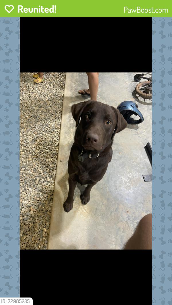 Reunited Male Dog last seen Haines , Auburn, CA 95602