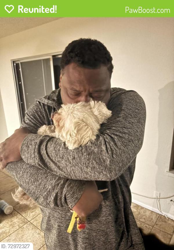Reunited Male Dog last seen Baseline & Eucalyptus, Rialto, CA 92376