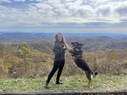Lost Male Dog last seen Peace haven road , Winston-Salem, NC 27108