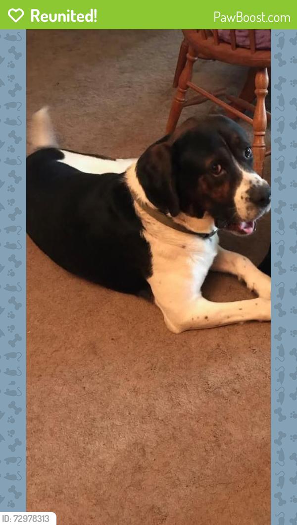 Reunited Male Dog last seen County RT49, Sylvan Beach, NY 13157