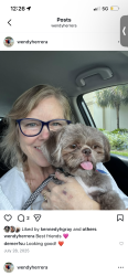 Reunited Male Dog last seen Lake underhill , Orlando, FL 32807