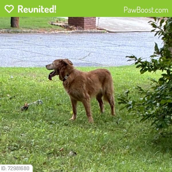 Reunited Female Dog last seen Chamblee Tucker Riax, Doraville, GA 30340