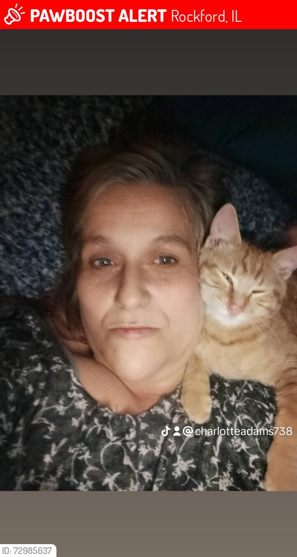Lost Male Cat last seen Sandy hollow rd, Rockford, IL 61109