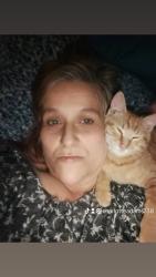 Lost Male Cat last seen Sandy hollow rd, Rockford, IL 61109