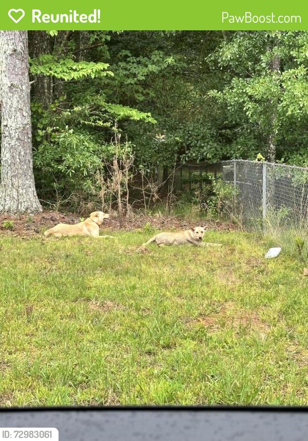 Reunited Unknown Dog last seen Stanton road and Parr, Rockdale County, GA 30094